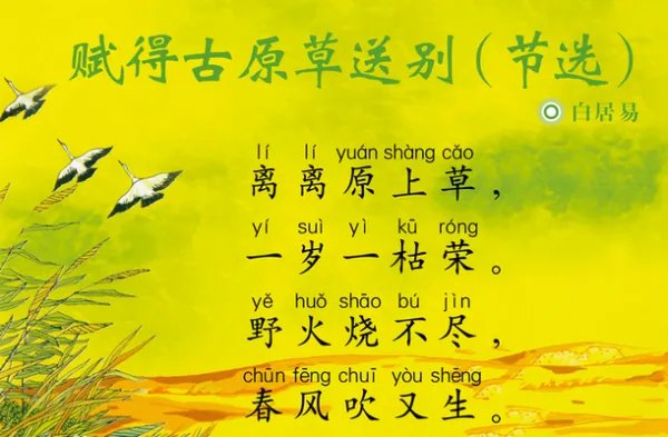 白居易的草，翻译