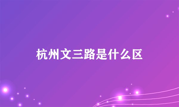 杭州文三路是什么区