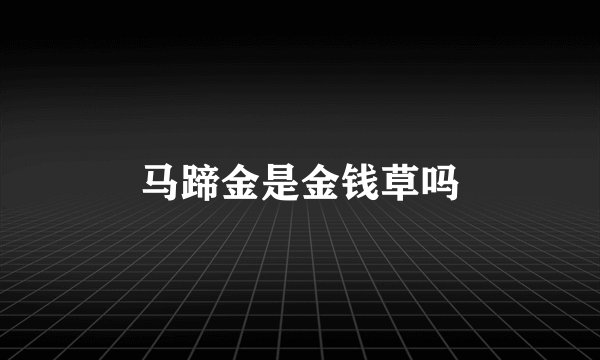 马蹄金是金钱草吗