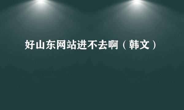 好山东网站进不去啊（韩文）