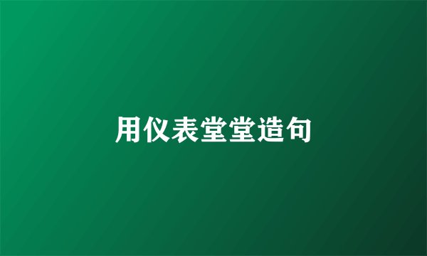 用仪表堂堂造句
