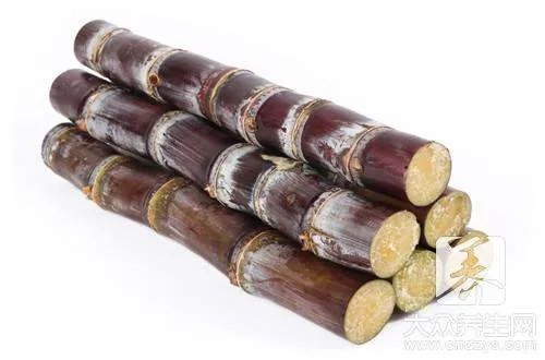 甘蔗糖蜜的功效和作用有什么