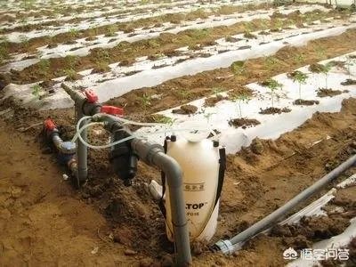 水溶肥料替代复合肥的理由是什么?