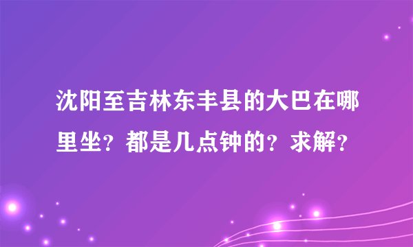 沈阳至吉林东丰县的大巴在哪里坐？都是几点钟的？求解？
