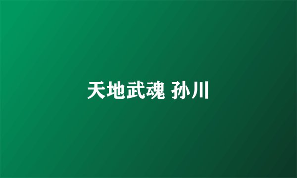 天地武魂 孙川