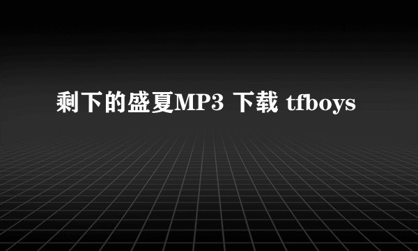 剩下的盛夏MP3 下载 tfboys