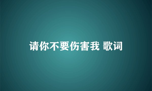 请你不要伤害我 歌词