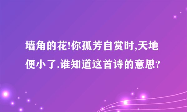 墙角的花!你孤芳自赏时,天地便小了.谁知道这首诗的意思?