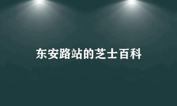 东安路站的芝士百科