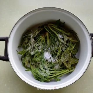 腌香椿芽