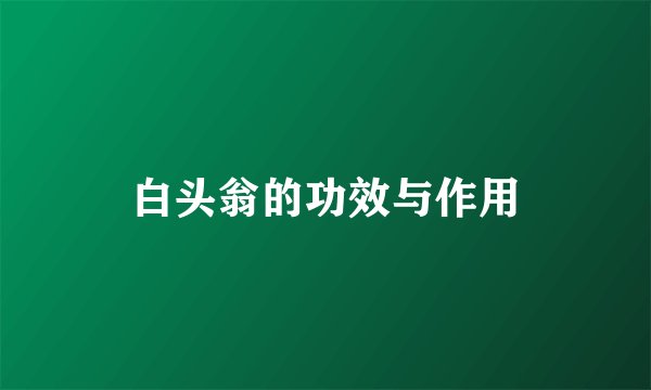 白头翁的功效与作用