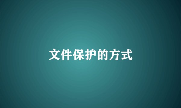 文件保护的方式