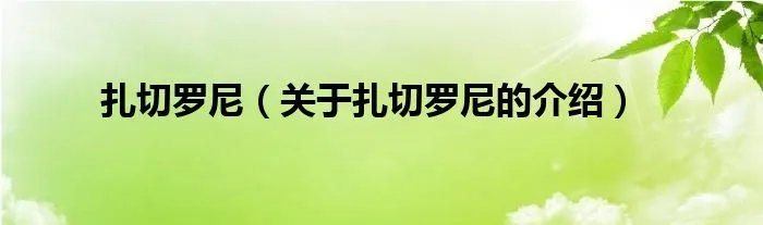 扎切罗尼（关于扎切罗尼的介绍）