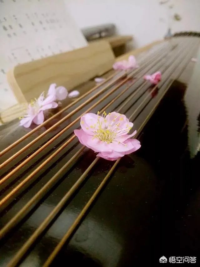 大多数古琴有多少根弦