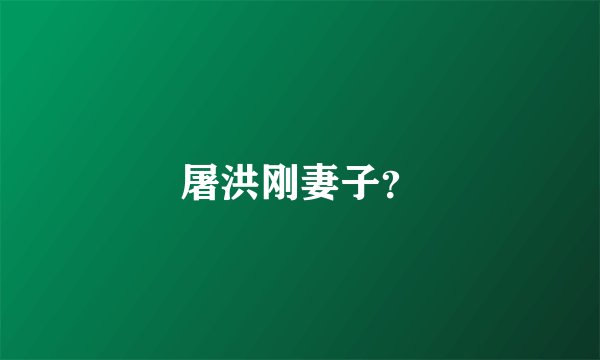 屠洪刚妻子？