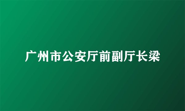 广州市公安厅前副厅长梁