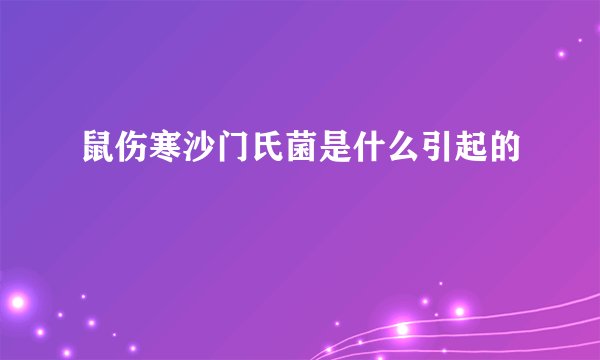 鼠伤寒沙门氏菌是什么引起的