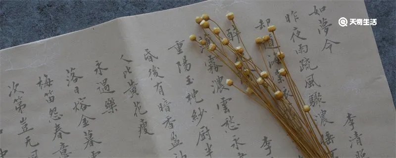 词牌名有哪些