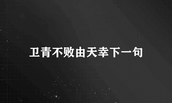 卫青不败由天幸下一句