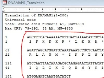 dnaman怎么看序列比对