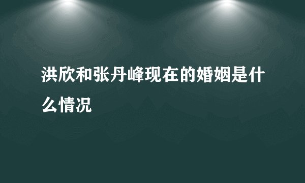 洪欣和张丹峰现在的婚姻是什么情况