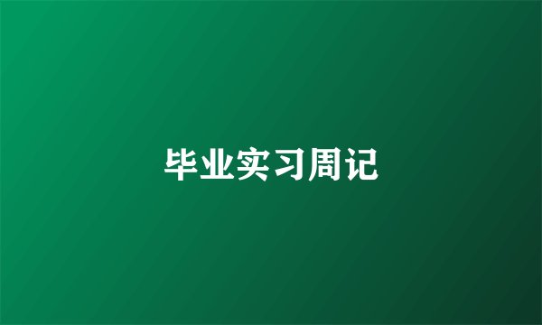 毕业实习周记