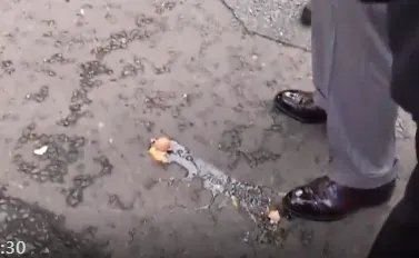 示威男子当街朝英国国王扔鸡蛋，最终这名男子得到了什么处罚？
