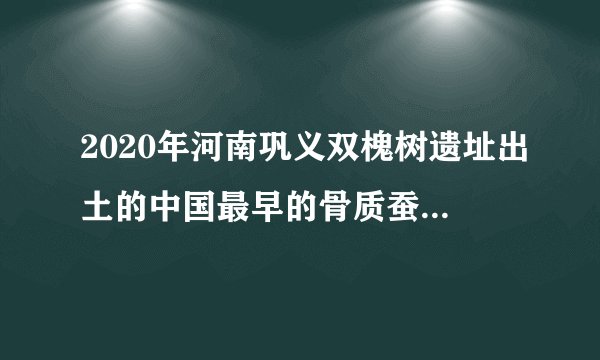 2020年河南巩义双槐树遗址出土的中国最早的骨质蚕雕艺术品(如图),直接实证了5300年前后黄河中游地区( )A. 已掌握养蚕缫丝技术B. 艺术品已具有高超的雕刻技术C. 是丝绸的发源地D. 人们有很高的艺术欣赏水平