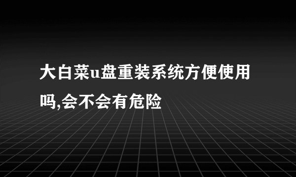 大白菜u盘重装系统方便使用吗,会不会有危险