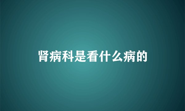肾病科是看什么病的