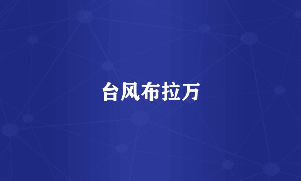 台风布拉万