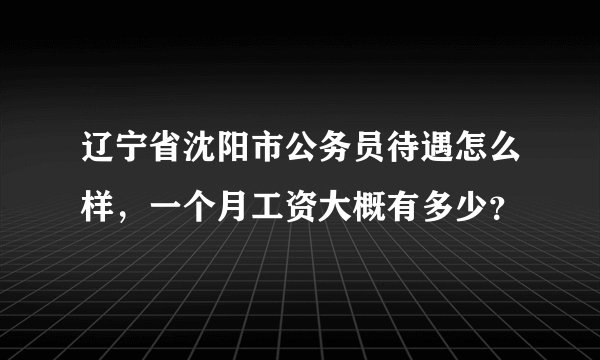 辽宁省沈阳市公务员待遇怎么样，一个月工资大概有多少？