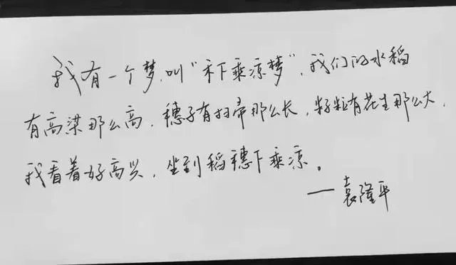 如何评价袁隆平的一生？