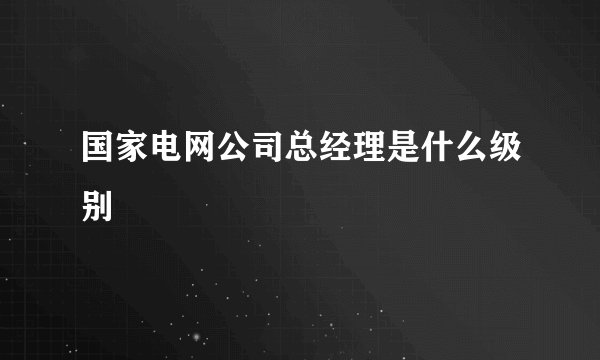 国家电网公司总经理是什么级别