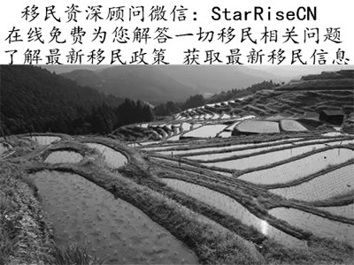 瓦努阿图绿卡多少钱