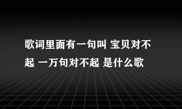 歌词里面有一句叫 宝贝对不起 一万句对不起 是什么歌
