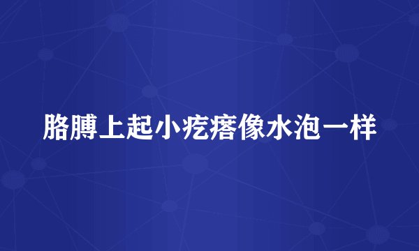 胳膊上起小疙瘩像水泡一样