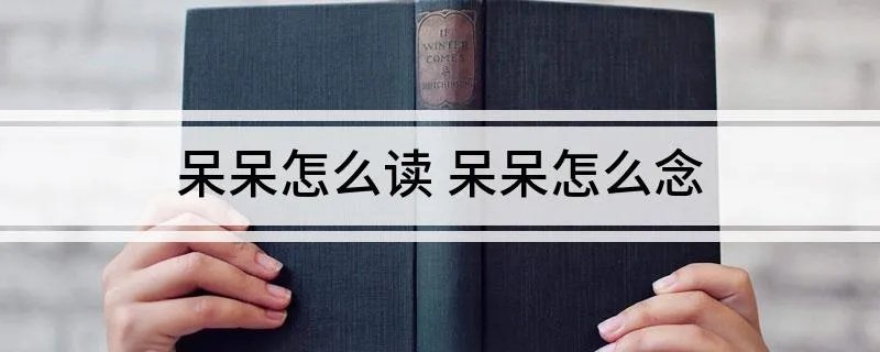 呆呆怎么读 呆呆怎么念