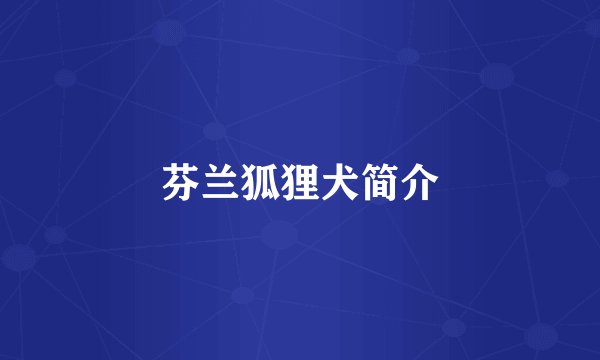 芬兰狐狸犬简介