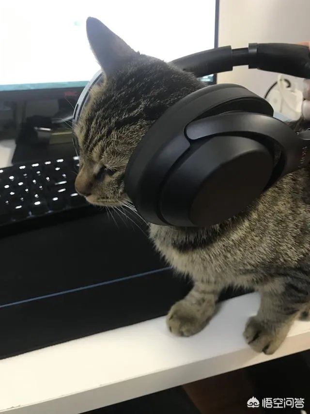 beats solo 3到底值得买吗？