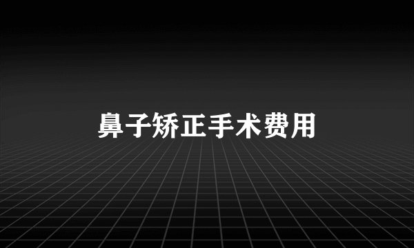 鼻子矫正手术费用