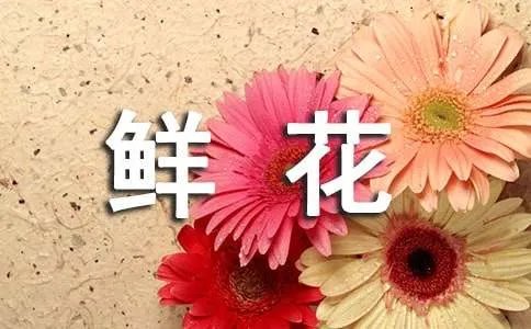 课文《开满鲜花的小路》教案