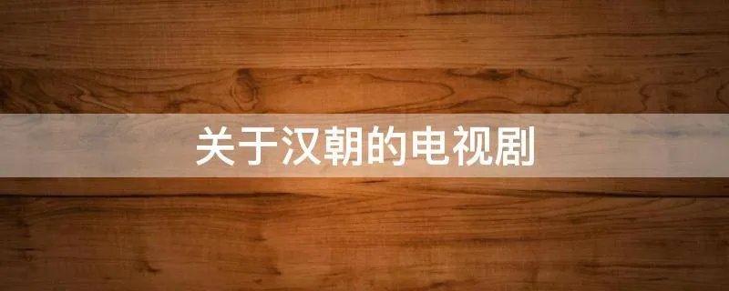 关于汉朝的电视剧