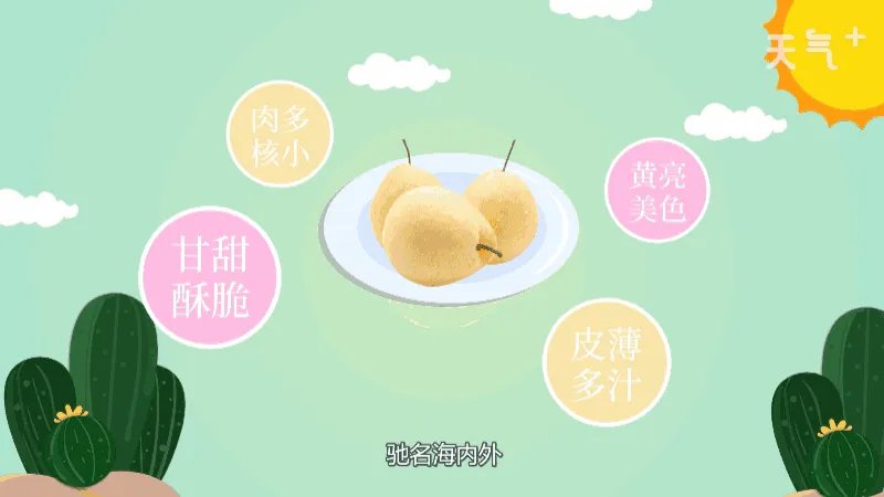 安徽省砀山县十大特产