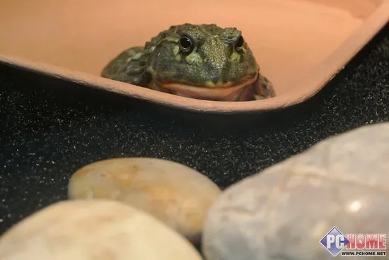 进入昆虫馆室内 提升ISO感光度800至1600