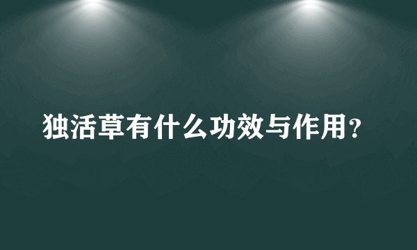 独活草有什么功效与作用?