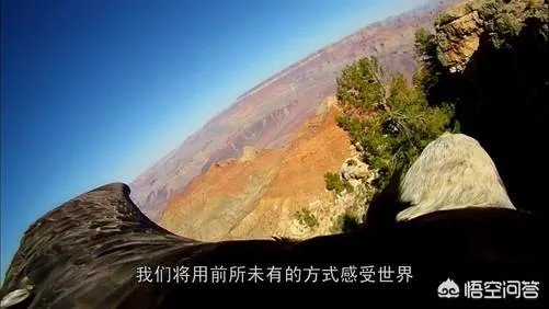 《鸟瞰地球》这种纪录大片是如何拍摄的?