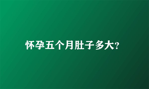 怀孕五个月肚子多大？