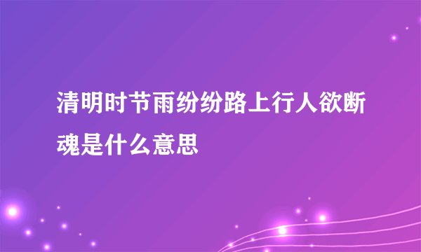 清明时节雨纷纷路上行人欲断魂是什么意思