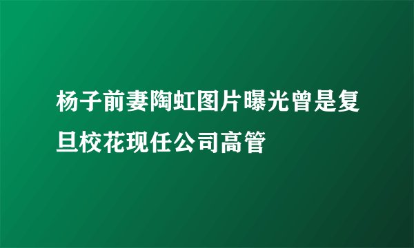 杨子前妻陶虹图片曝光曾是复旦校花现任公司高管